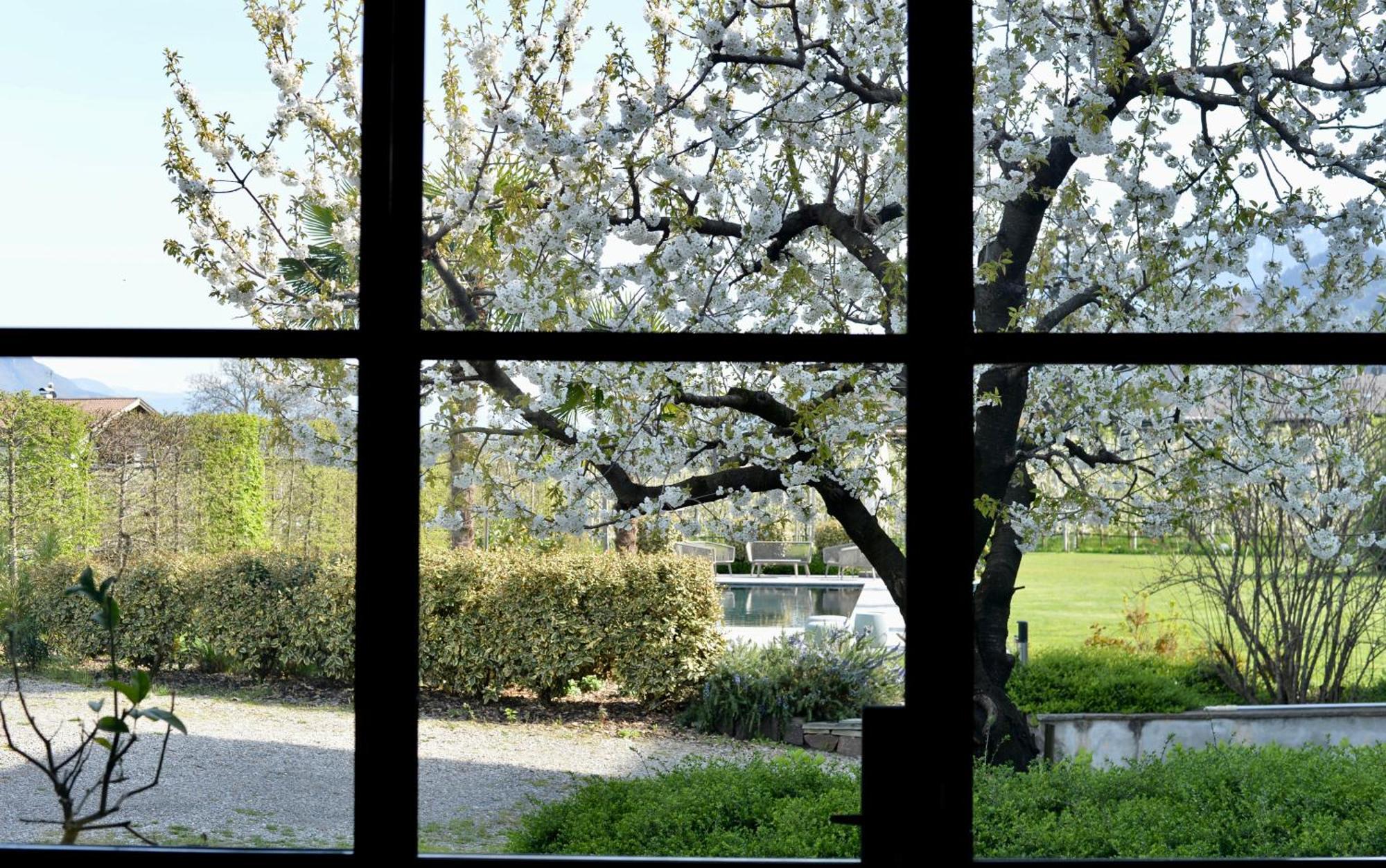 Haus Wiesenstein Lana Kültér fotó